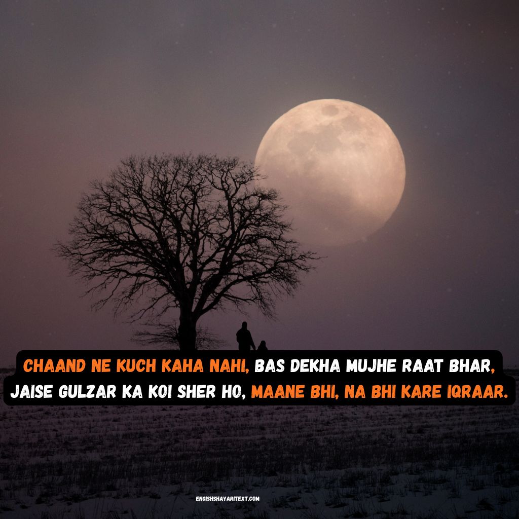 You are currently viewing Beautiful Chand Shayari In English |121+ Shayari On Moon